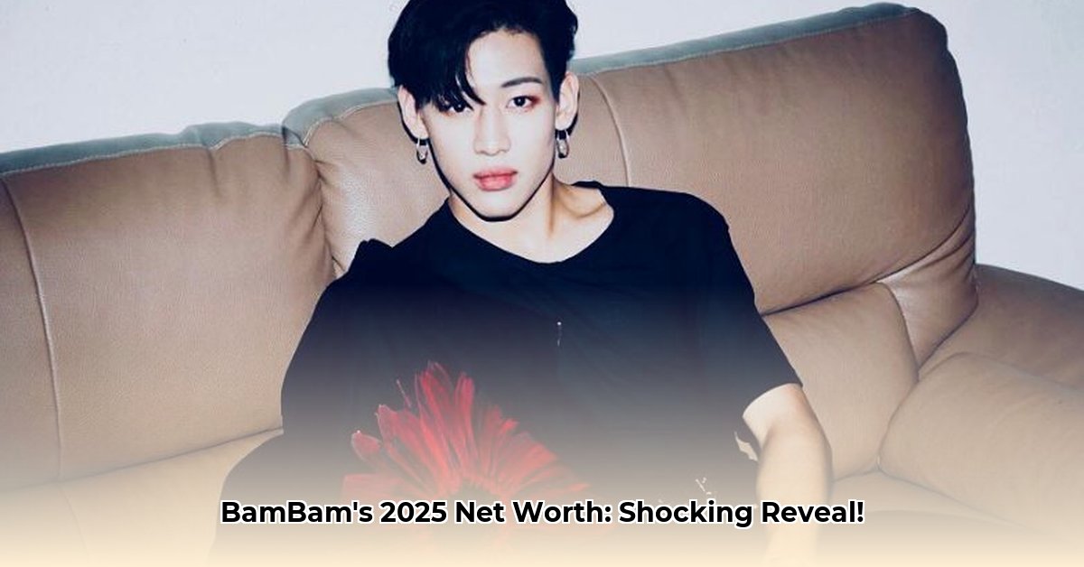 bambam-net-worth